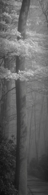 Free aesthetic bookmark featuring a dreary day scene